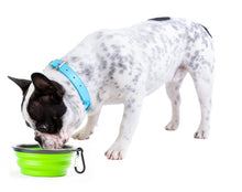 Load image into Gallery viewer, Collapsible Doggie Dish