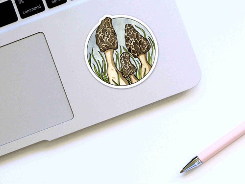 Morel Mushrooms Sticker